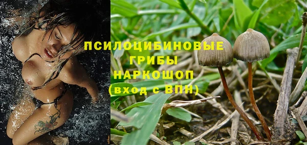 таблы Алзамай