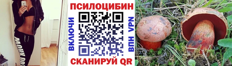 Галлюциногенные грибы Psilocybine cubensis  что такое   Разумное 